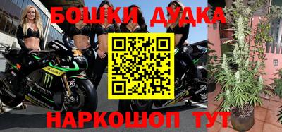 сатива Балаково