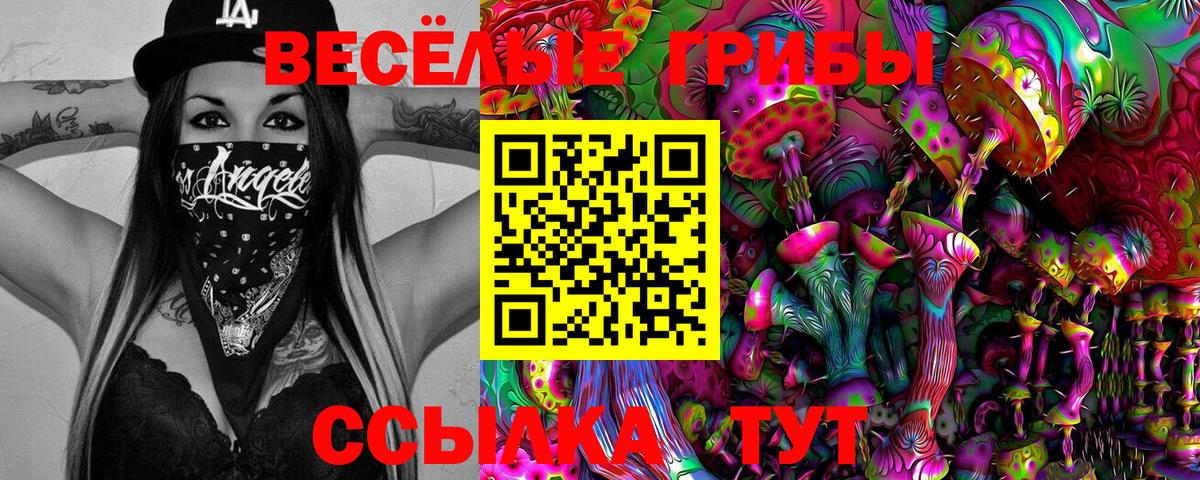 Псилоцибиновые грибы Magic Shrooms Гагарин