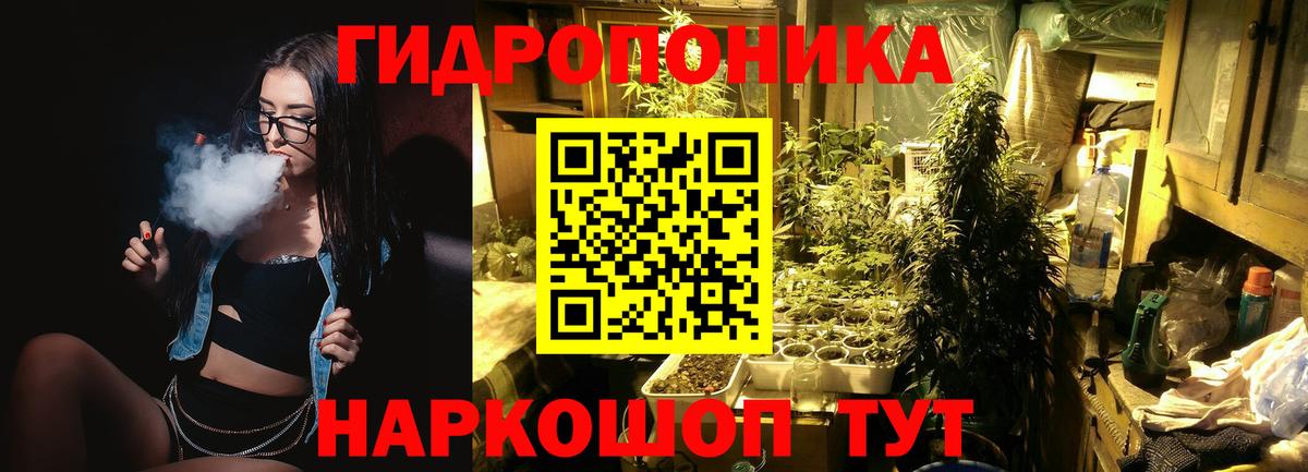 Бошки Шишки Amnesia Гагарин