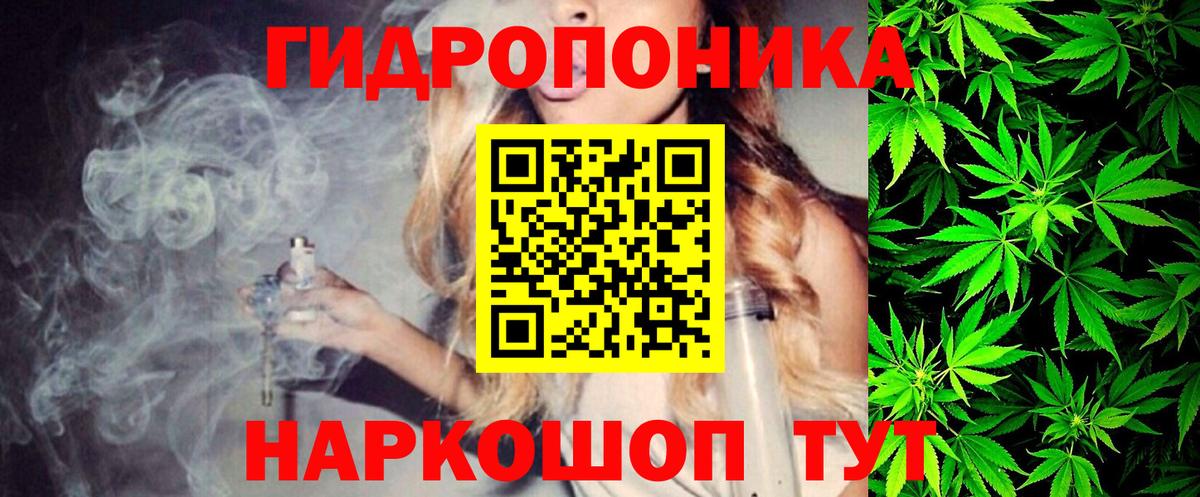 Шишки марихуана тримм  Вход с VPN  Гагарин  МАРИХУАНА семена  Канабис AK-47  Конопля сатива 